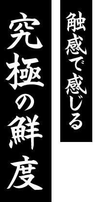 食感で感じる 究極の鮮度