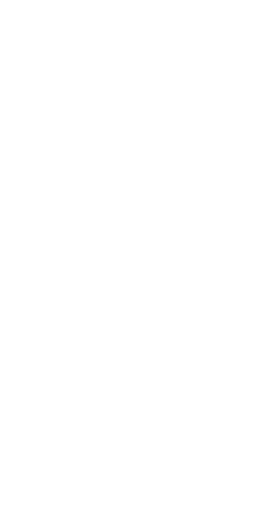 寿司