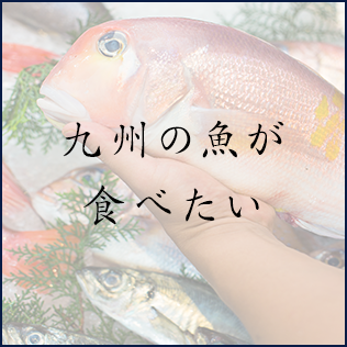 九州の魚が食べたい