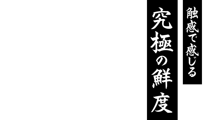 食感で感じる 究極の鮮度