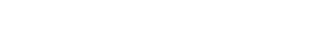 五種盛り（一人前）