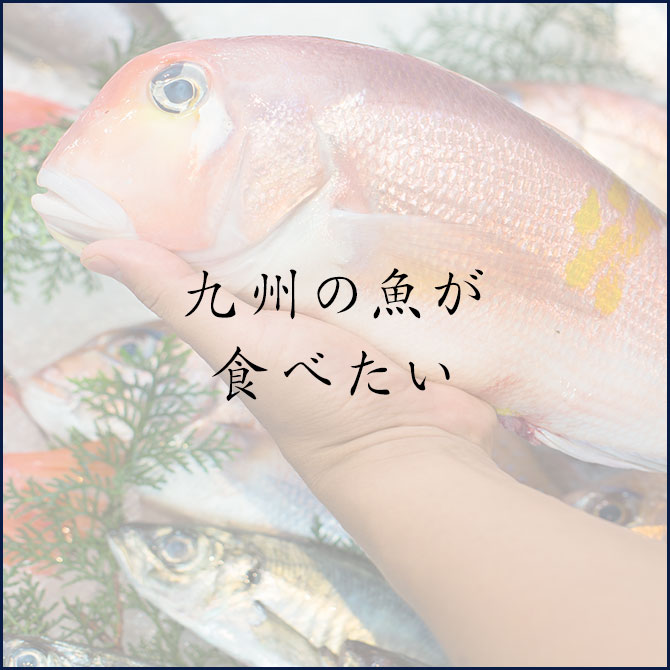 九州の魚が食べたい