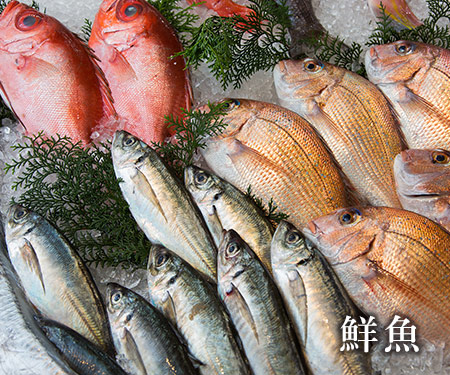 鮮魚