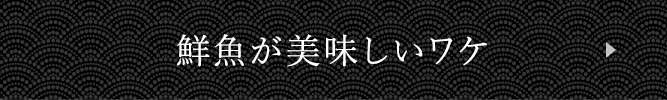 鮮魚が美味しいワケ