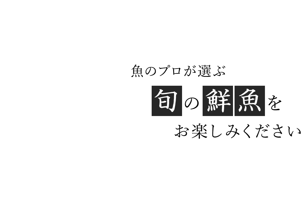 魚のプロが選ぶ