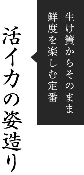 活烏賊の姿造り